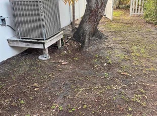 Robert C.'s Leaf Removal service result