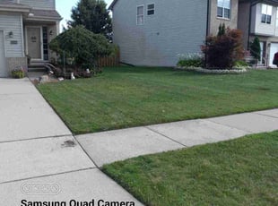 Wade A.'s Lawn Mowing service result