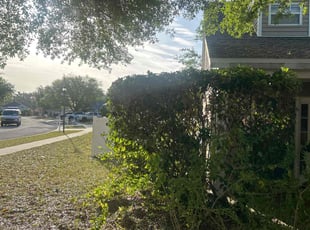 Bush Trimming by Ramon Taguja for DiAnjah J. in Valrico, FL
