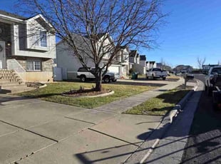 Claudia B.'s Lawn Maintenance service result