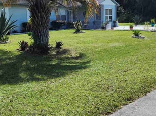 Eddie G.'s Lawn Maintenance service result