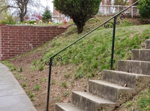 Leaf Removal by Chris Stewart for Phoebe M. in Washington, DC