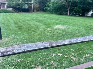 Rastin A.'s Lawn Care service result