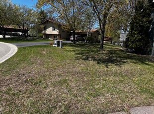 Leaf Removal by Basheer Alam for Collin B. in Lakeville, MN