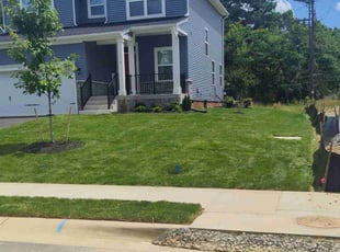 Andrew B.'s Lawn Mowing service result