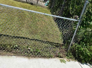 Bush Trimming by Shanik Battis for Lakia S. in Philadelphia, PA