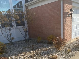 Cleanups by German Perez for Donya S. in West Dundee, IL