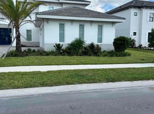Vasilije S.'s Grass Cutting service result