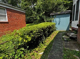 Jasween S.'s Bush Trimming service result