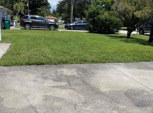 Callista H.'s Lawn Care service result