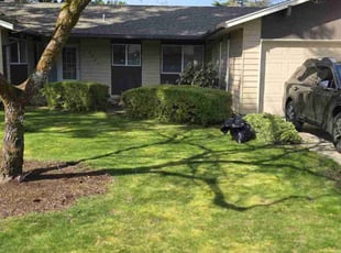 Bush Trimming by Khyle Dixon for John B. in Vancouver, WA