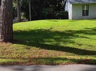 Paul H.'s Lawn Mowing Service service result