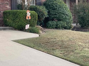 Bush Trimming by Randy Sporleder for Jerilyn D. in Broken Arrow, OK