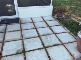 Weeding by Nick Collette for Edward M. in Holiday, FL