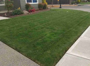 Robin S.'s Lawn Mowing Service service result