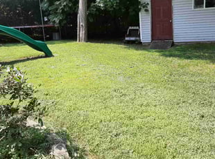 Karen H.'s Lawn Service service result