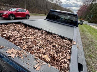 Leaf Removal by Jeffrey Curran for Chika S. in Burnsville, MN