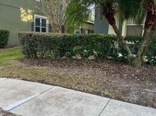 Bush Trimming by M&C Lawn Pro Services, LLC for Matt B. in Winter Garden, FL