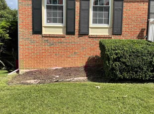 Weeding by Carlos Portillo for Debra R. in Fort Washington, MD
