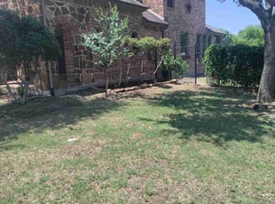 Bush Trimming by David Hoover for Saarthak M. in Frisco, TX