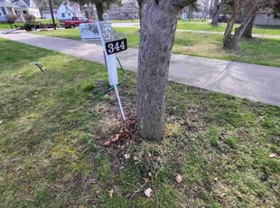 Cleanups by Andrew Garfield for Sylvania D. in Grand Ledge, MI