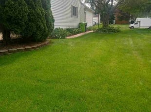 MINGJUN H.'s Lawn Maintenance service result