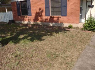 Cleanups by Anthony Torres for Jerry S. in Austin, TX