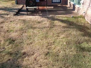Leaf Removal by Carmen Euell for Lisa S. in Memphis, TN