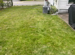 Leaf Removal by Steve Valverde for Patricia W. in North Attleborough, MA