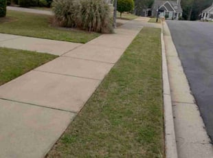 Kyle K.'s Lawn Care service result