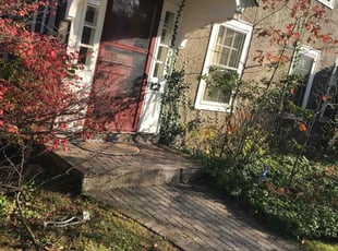 Bush Trimming by Lionel Foster for Mike F. in West Hartford, CT