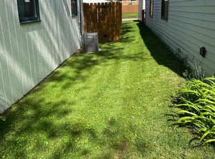 RICH O.'s Lawn Care service result