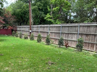 Bush Trimming by Miguel Ibarra for Don S. in Arlington, TX
