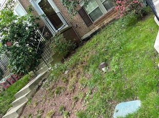 Leaf Removal by Jeremy Oliver for Charles K. in Laurel, MD