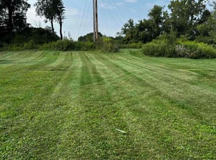Tracye J.'s Lawn Mowing Service service result