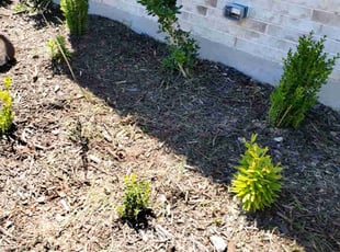 Rico H.'s Flower Bed Weeding service result