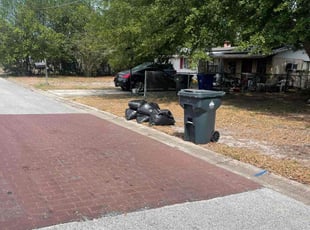 Leaf Removal by Ladarius Lathan for Arianna P. in Ocoee, FL