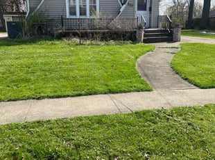 Teresa A.'s Lawn Mowing service result