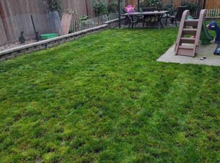 Don W.'s Lawn Mowing Service service result