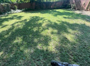 David C.'s Lawn Service service result