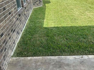 Anthony F.'s Grass Cutting service result