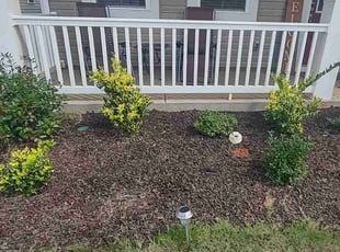 Weeding by Michael Cherry for Deshawna M. in Charlotte, NC