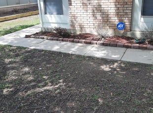 Cleanups by Gregory Kluetz for Allie R. in Converse, TX