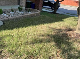 Leaf Removal by Daniel Mora for Fe A. in Schertz, TX