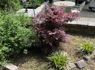Cleanups by Antonio McDonald for Brett B. in Durham, NC