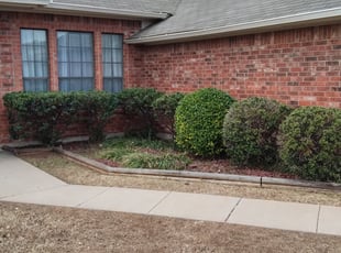 Bush Trimming by Karlie Young for Benjamin P. in Oklahoma City, OK