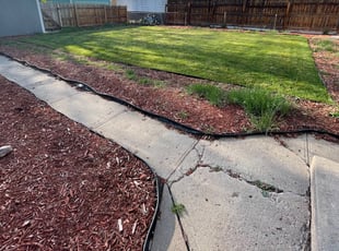 Leaf Removal by Trey Weiler for Rj I. in Englewood, CO