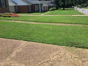 Daniel Fred J.'s Lawn Service service result