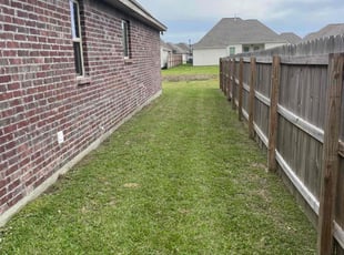 Michael S.'s Lawn Care service result