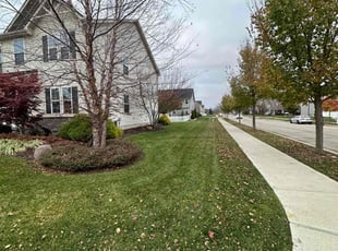 Amarpreet N.'s Lawn Care service result